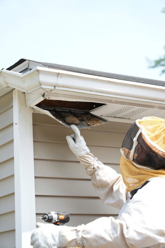 A pest control technician in a bee suit removing a nest from a soffit or fascia for Complete Pest Solutions of Canton in North Canton, OH.