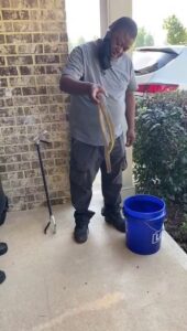 A technician safely removing a snake with a snake hook, providing wildlife control services for Direct Pest Solutions Of Georgia, LLC in McDonough, GA.