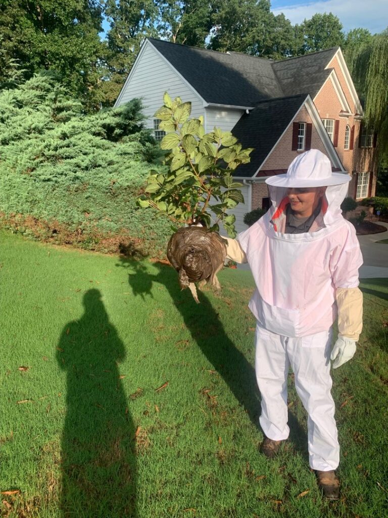 A PestNation technician in a protective suit holding a large wasp nest after removal in Buford, GA