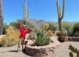 A pest control technician from Overson Pest Control LLC removing spider webs or nests from a high area at a property in Mesa, AZ