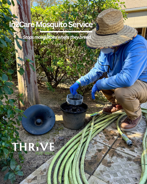 A Thrive Pest Pros technician servicing an In2Care mosquito trap in a garden in Clovis, CA.
