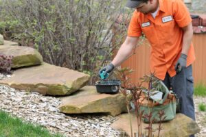 A technician setting a pest trap or bait station outdoors near landscaping for Pest Free Rochester in Rochester, MN.