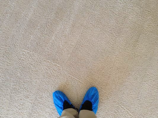 A Dirt Busters, Inc. technician wearing protective shoe covers on a clean carpet, demonstrating care during service in Anaheim, CA.