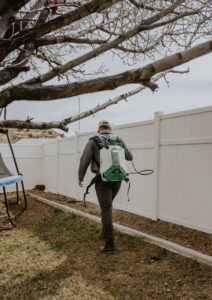 A Box Pest Control technician walking through a backyard with a sprayer, performing pest control in Farmington, NM.