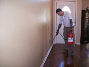 A pest control technician spraying along a baseboard inside a home for Advantage Pest & Weed Control in Rio Rancho, NM