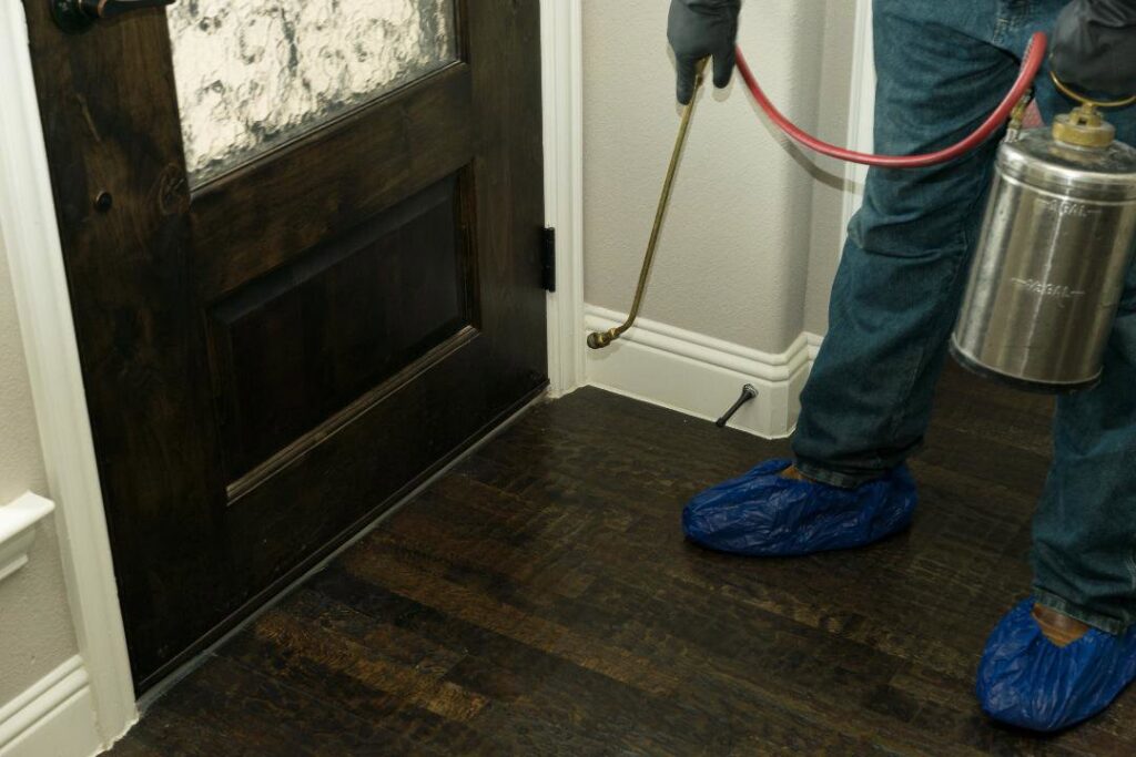 A Rumble Pest Solutions technician spraying along a baseboard during an indoor pest control treatment in Springdale, AR.
