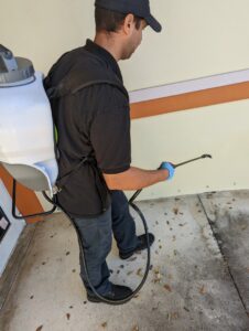 A technician spraying the perimeter of a building for pest control at Nexterminate in Hollywood, FL.