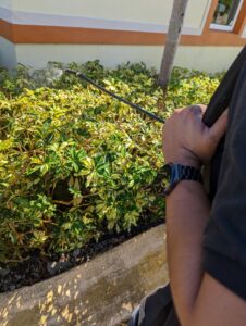A close-up of a technician spraying bushes for pest control at Nexterminate in Hollywood, FL.