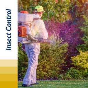 A Nature's Finest technician applying insect control treatment to bushes with a backpack sprayer in Tallahassee, FL.