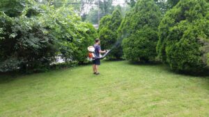 A Mosquito Mob technician spraying bushes with a backpack sprayer for mosquito control in Wilmington, DE.