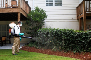 A Mosquito Tech RI technician spraying bushes and the perimeter of a home for pest control in Warwick, RI.