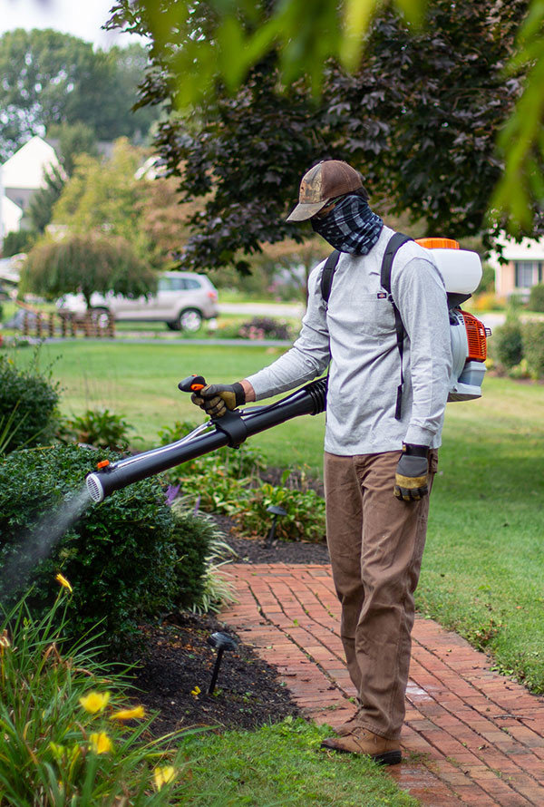 A Nature Spray Organics technician spraying bushes for pest control in East Canton, OH.