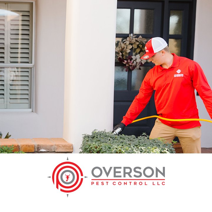 A pest control technician from Overson Pest Control LLC spraying bushes outside a residential home in Mesa, AZ