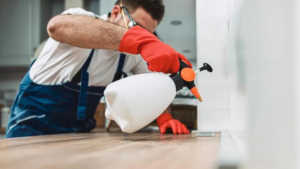 A technician in gloves spraying a countertop for pests with a handheld sprayer at Nexterminate in Hollywood, FL.