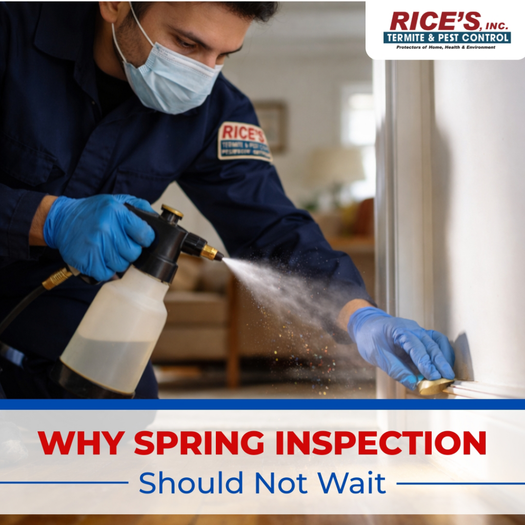 A technician spraying a door frame inside a home for pest control at Rice's, Inc. Termite & Pest Control in Salisbury, MD