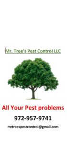 A technician from Mr. Tree's Pest Control LLC spraying the exterior of a house for pest control in Dallas, TX.
