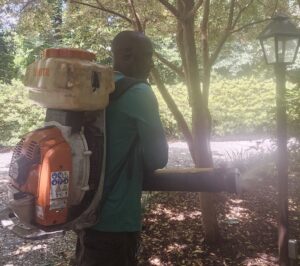 A Mosquito Joe of Columbia technician spraying foliage with a backpack fogger for pest control in Columbia, SC.