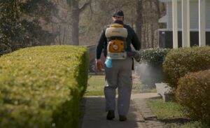 A technician spraying hedges and a walkway for pest control services by Richmond Pest Control in Richmond, KY.