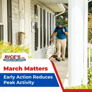 A technician spraying the exterior of a house from the porch for pest control at Rice's, Inc. Termite & Pest Control in Salisbury, MD