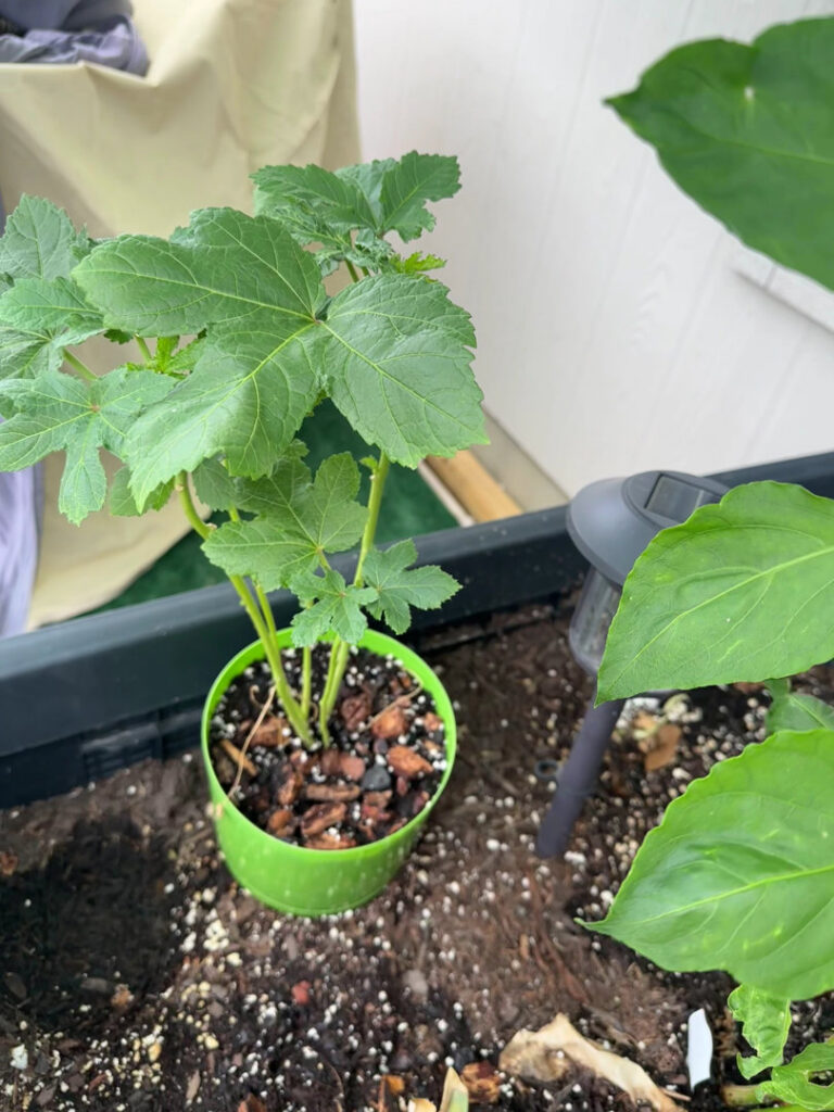 A Mosquito Hunters of Austin - Round Rock - Pflugerville technician spraying around a house foundation for mosquito control in Austin, TX.