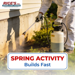 A technician spraying the foundation of a house for pest control at Rice's, Inc. Termite & Pest Control in Salisbury, MD