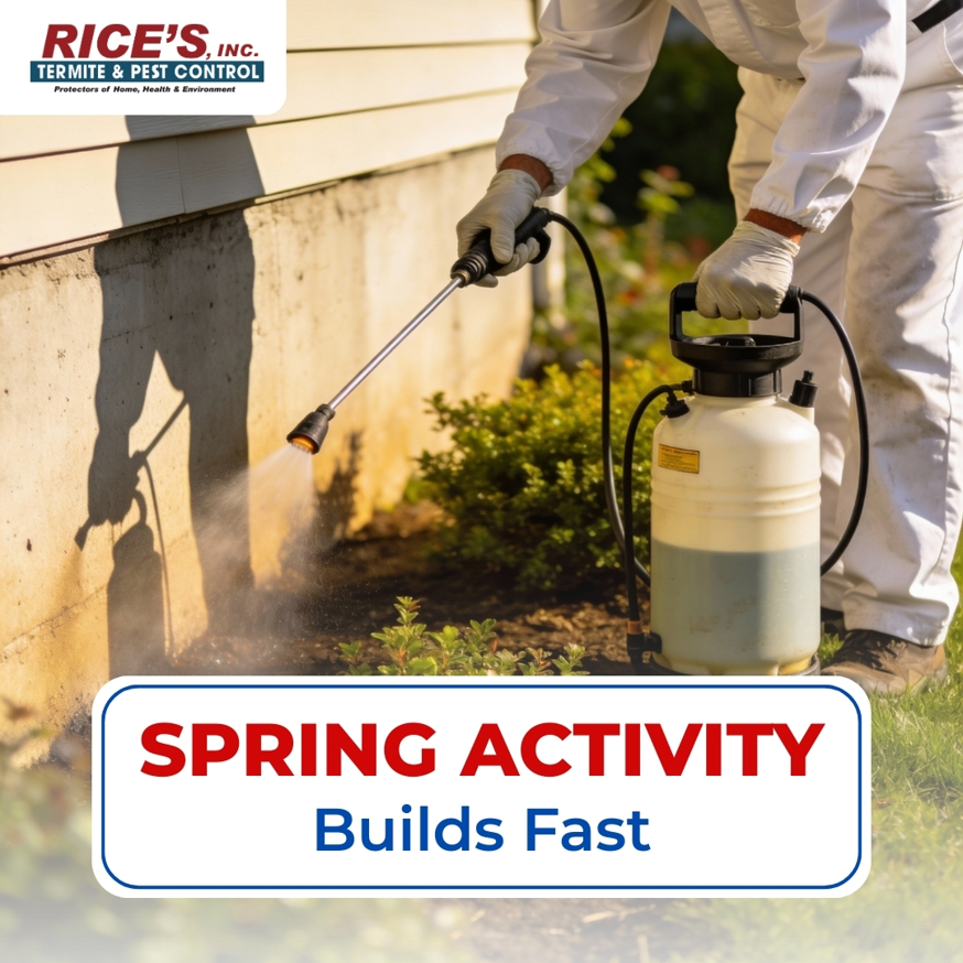 A technician spraying the foundation of a house for pest control at Rice's, Inc. Termite & Pest Control in Salisbury, MD