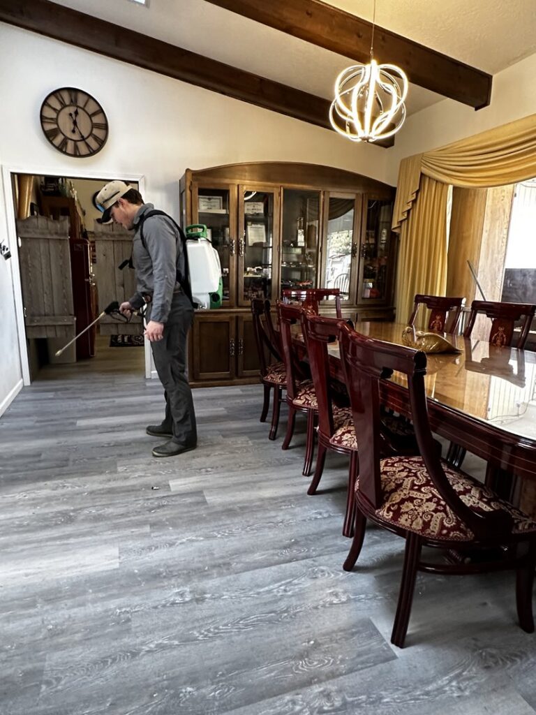 A Box Pest Control technician applying pest treatment along the baseboards inside a dining room in Farmington, NM.
