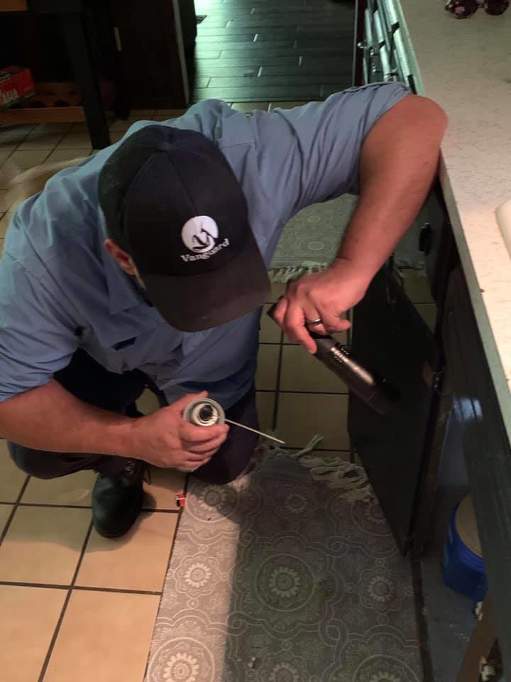 A pest control technician spraying inside a kitchen cabinet or appliance for Vanguard Pest Solutions in Oklahoma City, OK