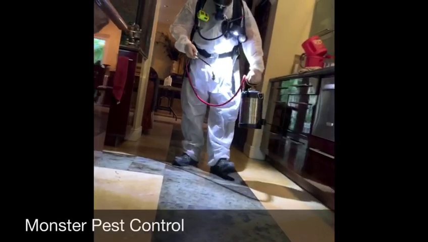 A technician in a protective suit spraying for pests inside a home, performed by Monster Pest Control in Miami, FL.