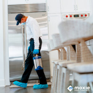 A Moxie Pest Control Bentonville technician spraying inside a modern kitchen, performing interior pest control in Springdale, AR.