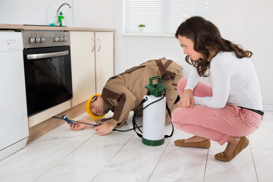 A pest control technician spraying in a kitchen for Guarantee Pest Control, Inc. in Lexington, KY, while a client observes.
