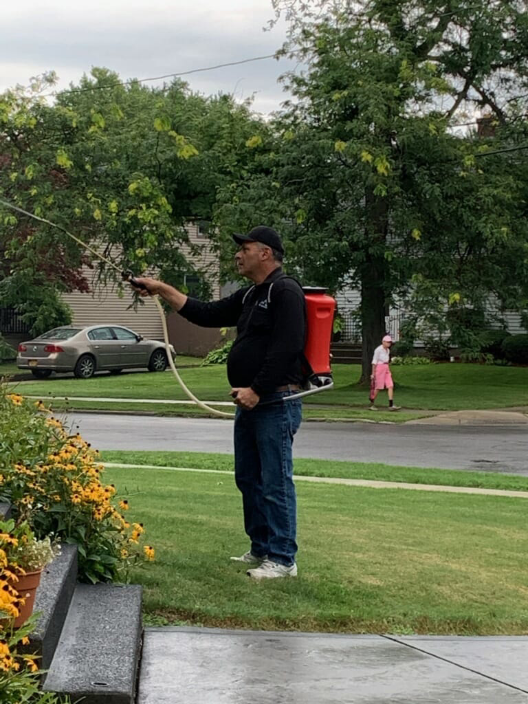 An AP Pest Control technician spraying a residential lawn for pest control services in Buffalo, NY.