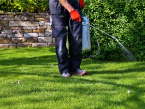 A pest control technician spraying a lawn for pest management by Garcia Pest Management in Denver, CO.