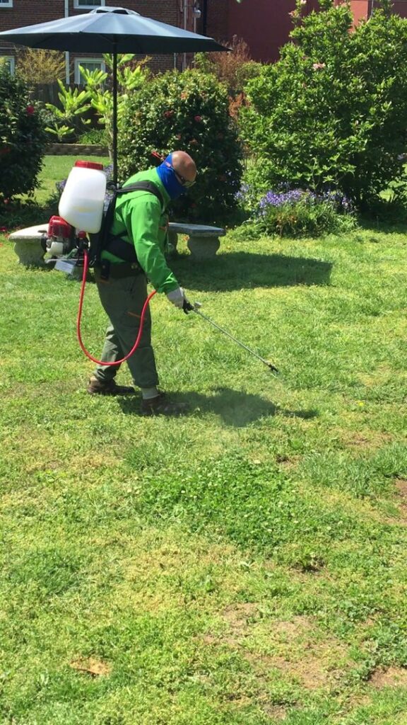 A technician spraying a lawn with a backpack sprayer for pest control services by Global Green Termite & Pest Control LLC in Hampton, VA.