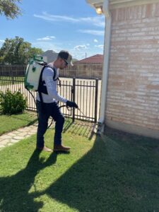 A Blue Line Pest Police technician using a backpack sprayer to treat a lawn for pests in Fort Worth, TX.