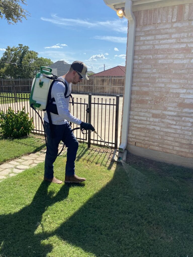 A Blue Line Pest Police technician using a backpack sprayer to treat a lawn for pests in Fort Worth, TX.