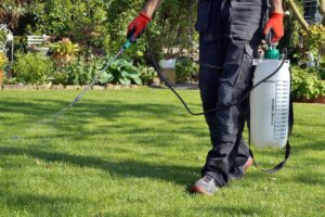A pest control technician using a backpack sprayer to treat a lawn for pests, provided by Norman Pest Control in Norman, OK.