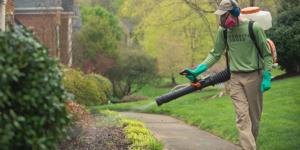 A technician applying mosquito treatment along a residential sidewalk and bushes for We Kill Mosquitos in Fort Wayne, IN.