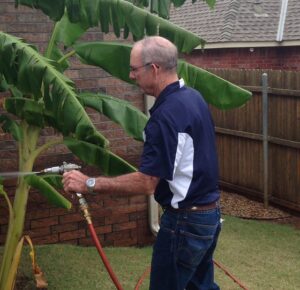 A technician from Roach's Termite Service Inc. spraying outdoor plants for pest control in Oklahoma City, OK