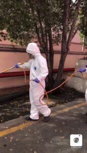 A Matar Termite & Pest Control technician in a hazmat suit spraying outdoors near trees in Alexandria, VA.