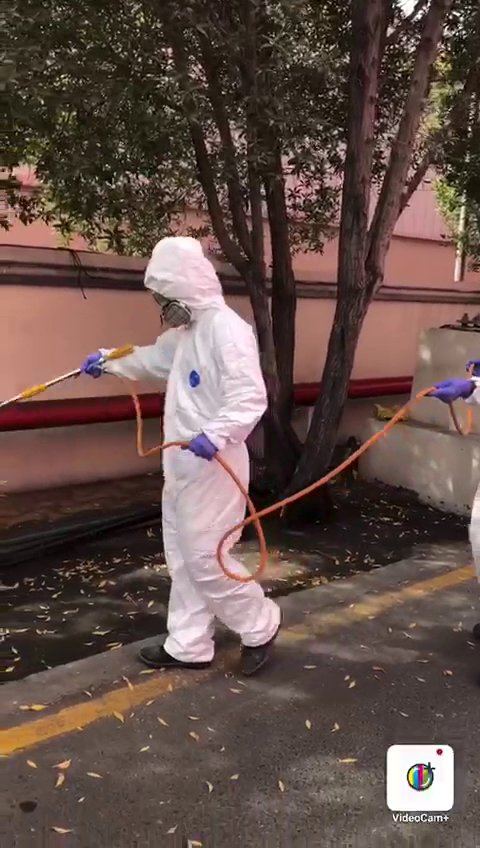 A Matar Termite & Pest Control technician in a hazmat suit spraying outdoors near trees in Alexandria, VA.