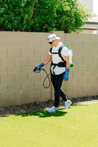 A pest control technician from Aloe Pest Control spraying along a residential perimeter in Mesa, AZ.