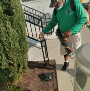 A Mosquito Joe of Columbia technician applying a pest control treatment with a backpack sprayer in Columbia, SC.