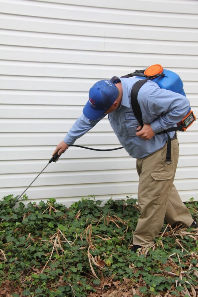 A Thomas Pest Control technician spraying pest control treatment along the foundation of a house in El Cajon, CA.