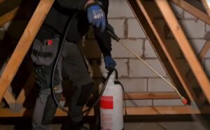 A pest control technician spraying pest treatment in an attic for comprehensive rodent control by Rodent Control Cleveland in Cleveland, OH.