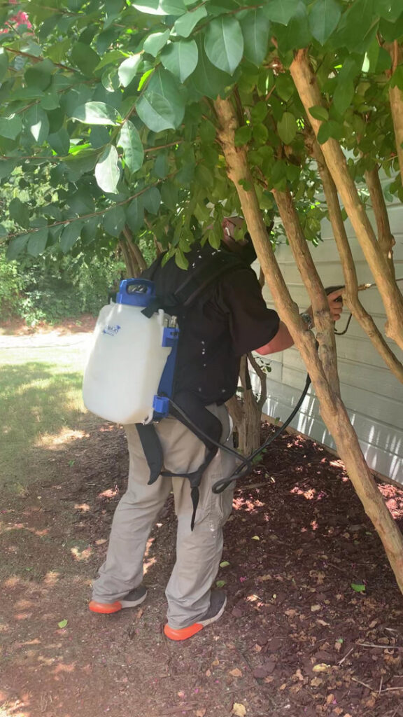 A pest control technician from Iron City Pest in Birmingham, AL, applying treatment with a backpack sprayer around a tree next to a residential building.