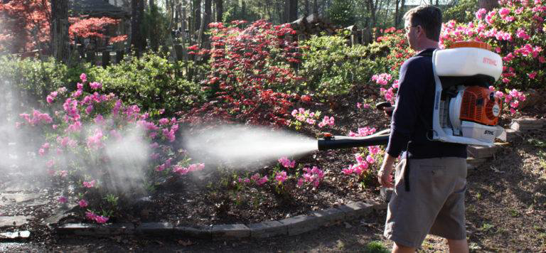 A technician from Operation Organic spraying plants for pest control in a garden in Memphis, TN.