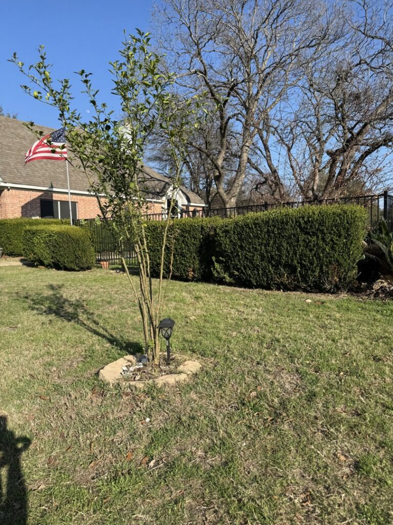 A Mosquito Hunters of Austin - Round Rock - Pflugerville technician applying mosquito control treatment to a residential yard in Austin, TX.