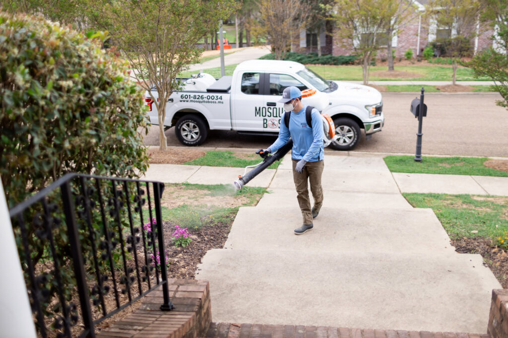 A Mosquito Boss technician spraying a sidewalk and front yard area for pest control in Brandon, MS