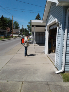 A pest control technician from AP Pest Control spraying along a sidewalk in Buffalo, NY.